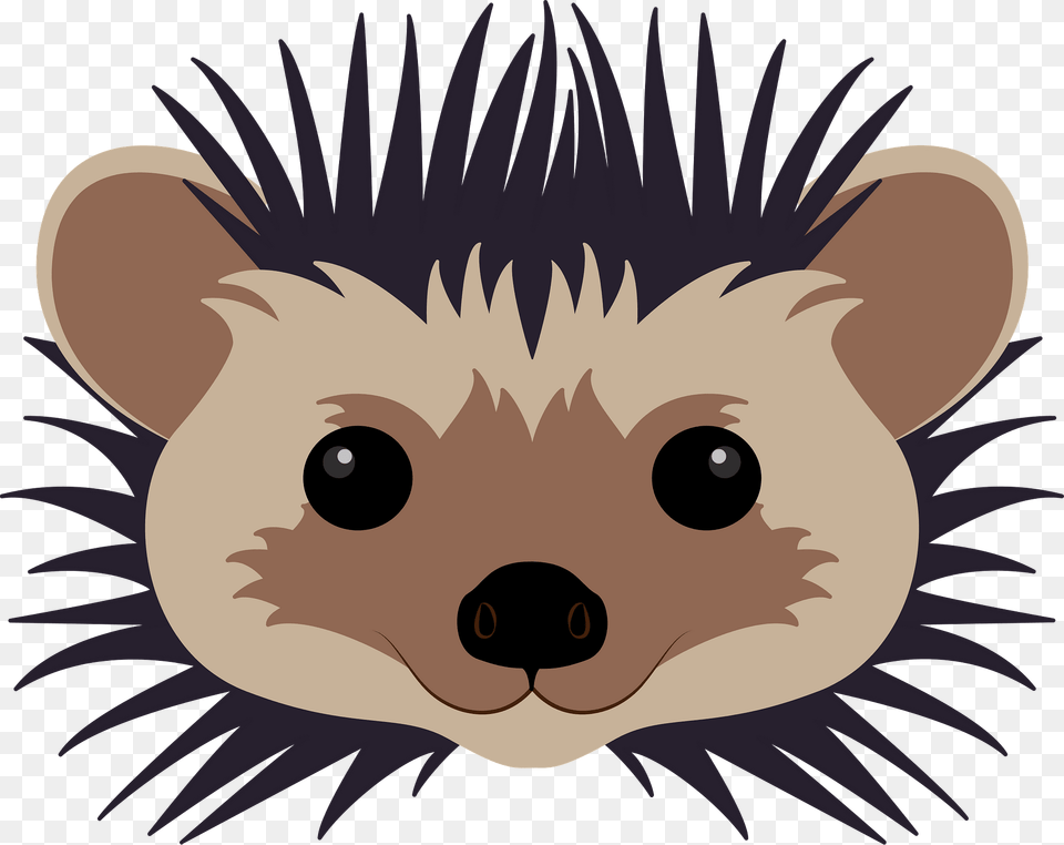 Hedgehog Face Clipart, Animal Png