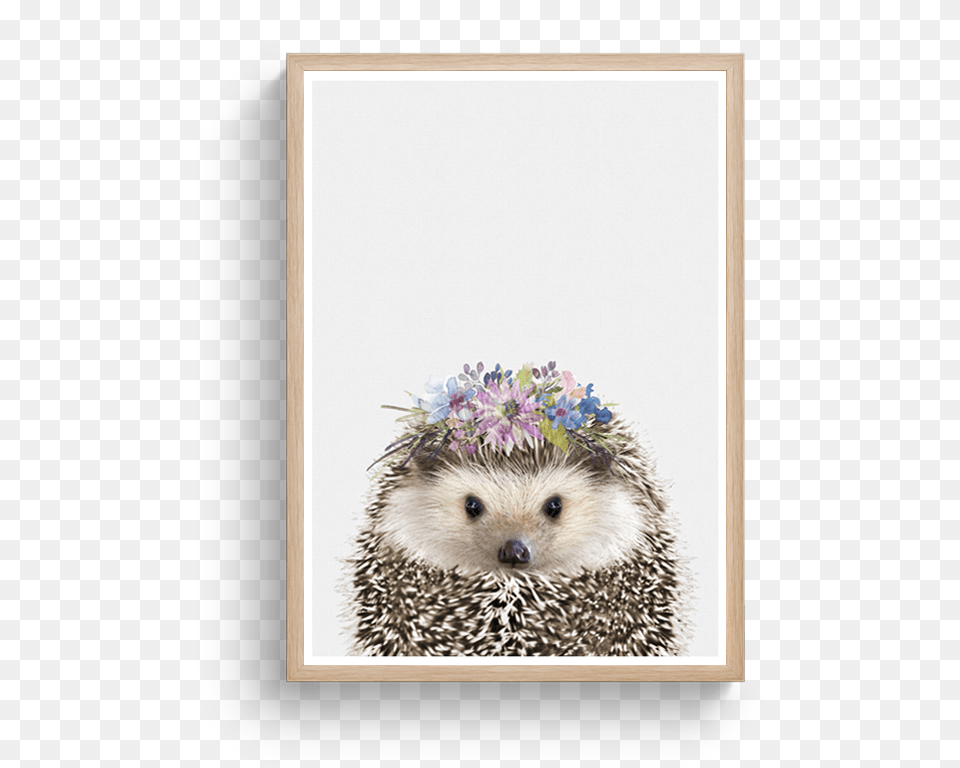 Hedgehog Floral 2class Lazyload Lazyload Fade In Domesticated Hedgehog, Animal, Mammal, Porcupine, Rodent Png Image