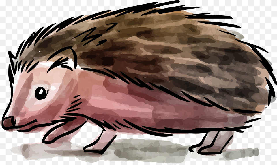 Hedgehog Painting Drawing Vector Graphics, Animal, Mammal, Person Free Transparent Png