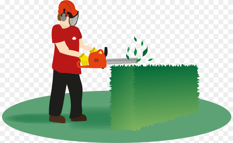 Hedges Clipart Hedge Trimming Hedging Clipart, Boy, Child, Male, Person Free Png