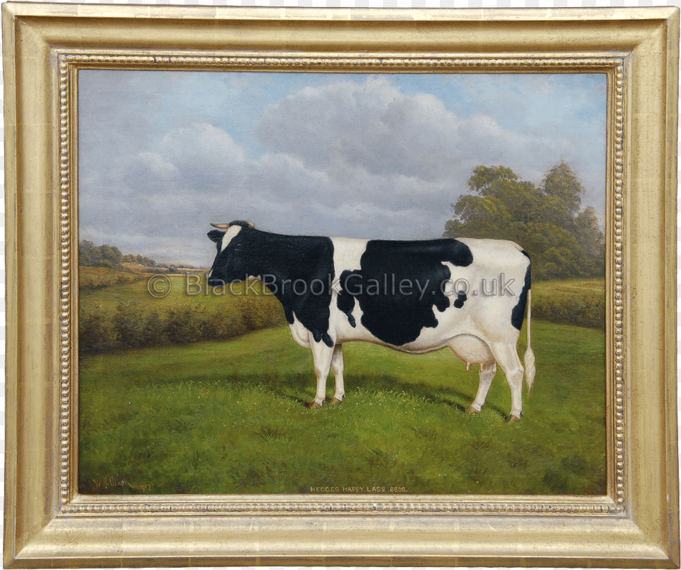 Hedges Happy Lace Dairy Cow, Animal, Cattle, Dairy Cow, Livestock Png