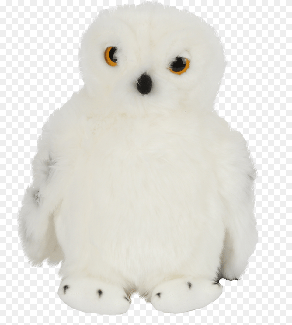Hedwig Medium Plush Scaled 001 V, Animal, Bird, Owl Free Png