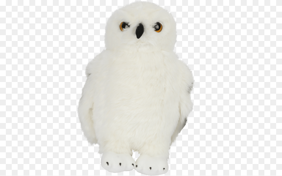 Hedwig Toys, Animal, Bird, Owl Png Image