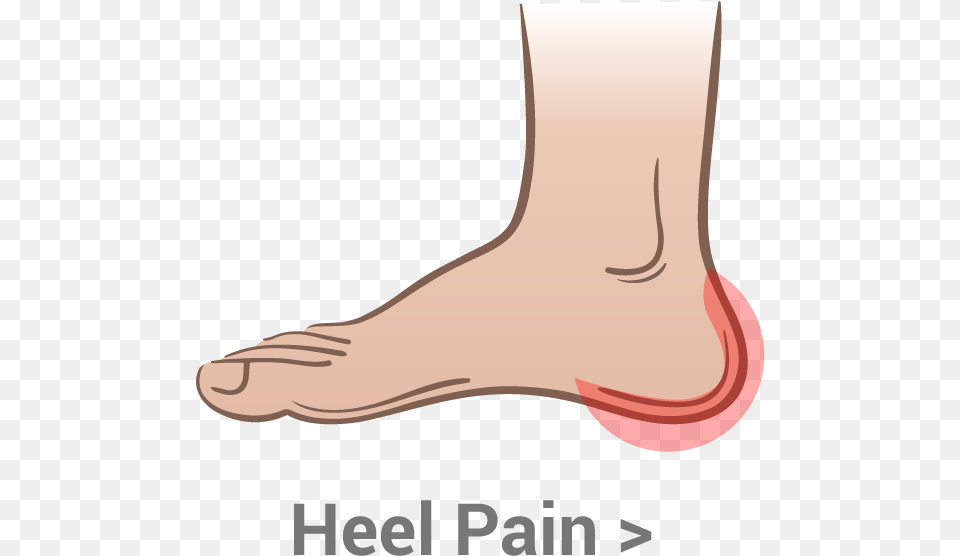 Heel, Ankle, Body Part, Person Free Png Download