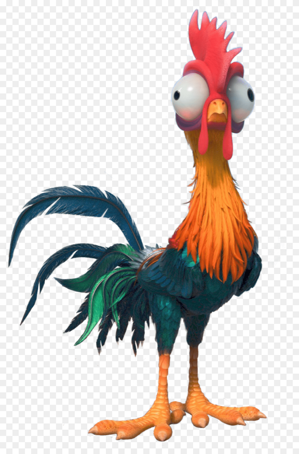 Hei Hei Moana, Animal, Bird, Chicken, Fowl Png Image