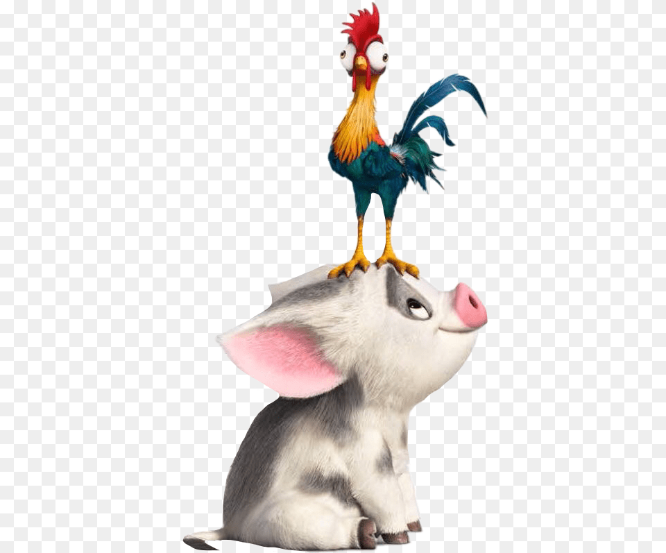 Hei Hei The Rooster Moana The Walt Disney Company Film Pua And Hei Hei, Animal, Bird, Figurine, Mammal Free Transparent Png