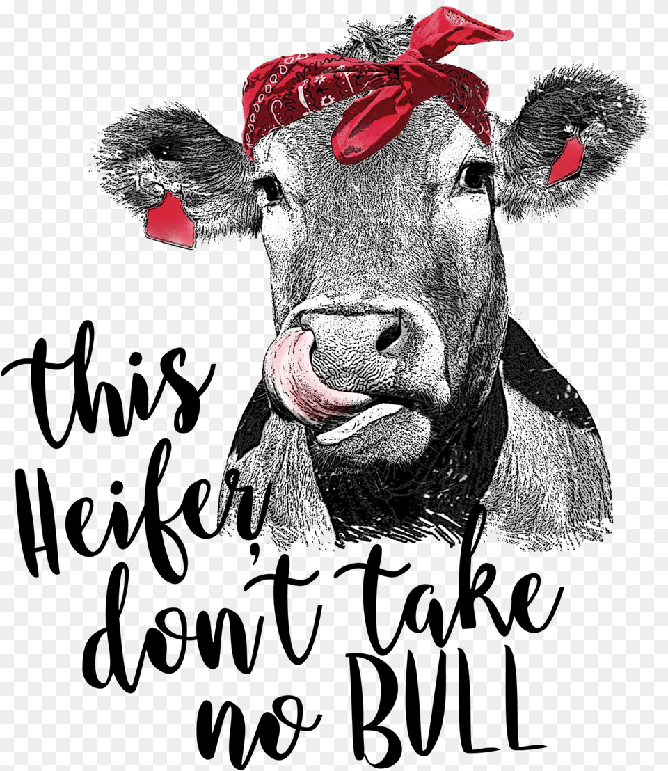 Heifer Don T Take No Bull, Animal, Mammal, Cattle, Cow Png
