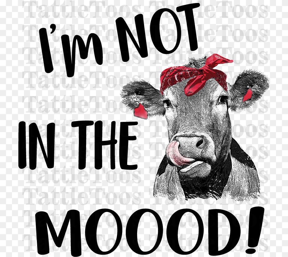 Heifer Don T Take No Bull, Animal, Mammal, Cattle, Cow Free Png Download