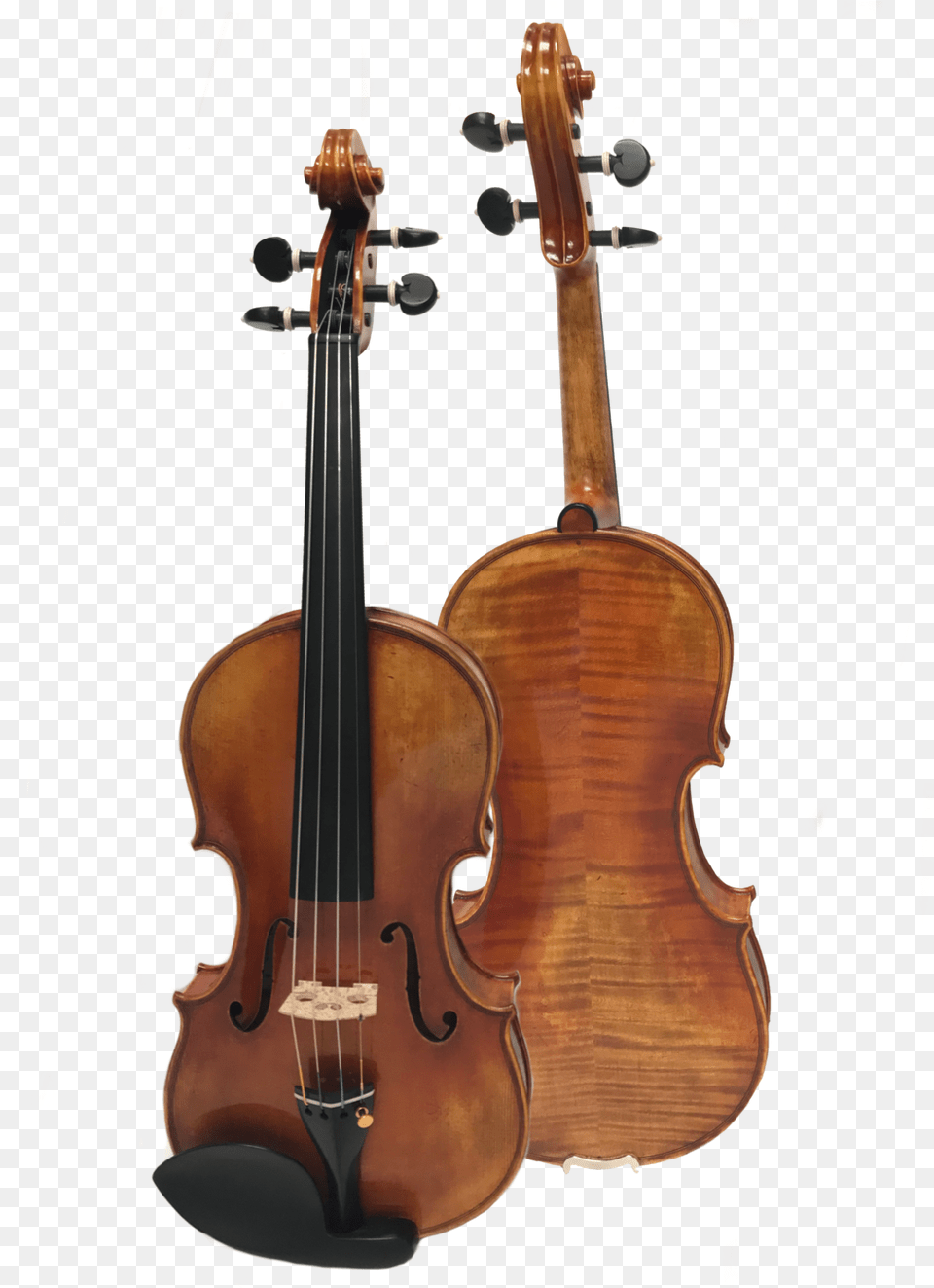 Heifetz Jh500 Violin Violin Back Side, Musical Instrument, Cello Free Png