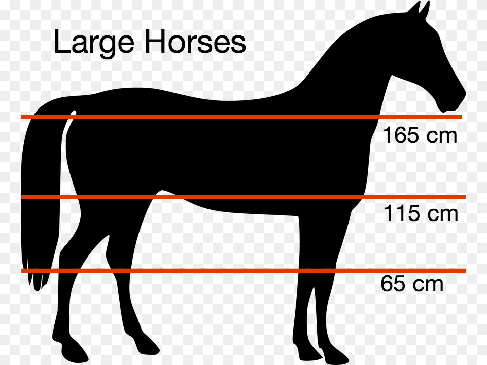 Height Horse Silhouette, Light Png Image