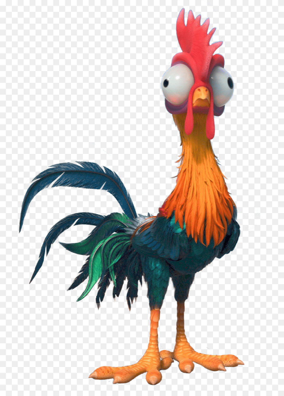 Heihei Disney Disney Moana And Disney Animation, Animal, Bird, Chicken, Fowl Free Png