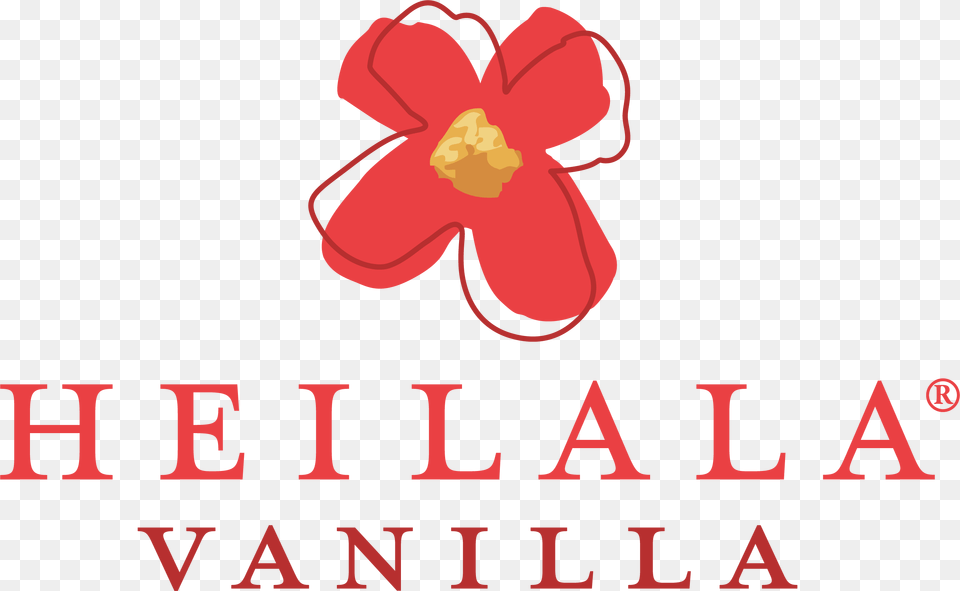Heilala Vanilla, Flower, Petal, Plant, Dynamite Free Png Download