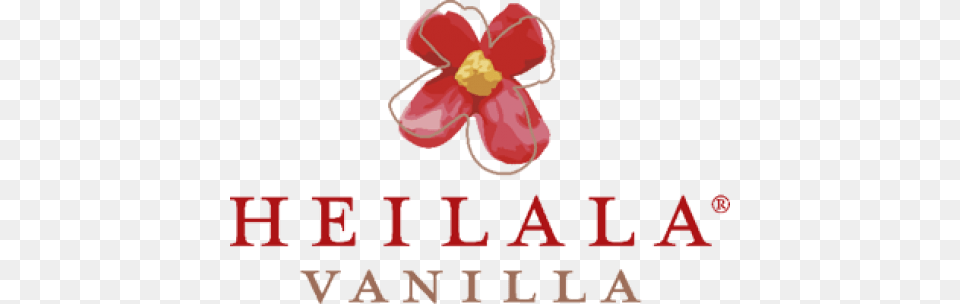 Heilala Vanilla, Flower, Petal, Plant Png Image