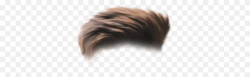 Heir Editing Best Hair, Person, Mohawk Hairstyle Free Transparent Png