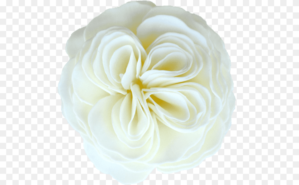 Heirloom Garden Rose Soap Flower Garden Roses, Petal, Plant, Dahlia Free Png Download