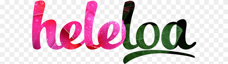 Heleloa Alondra Park, Flower, Plant, Art, Graphics Png