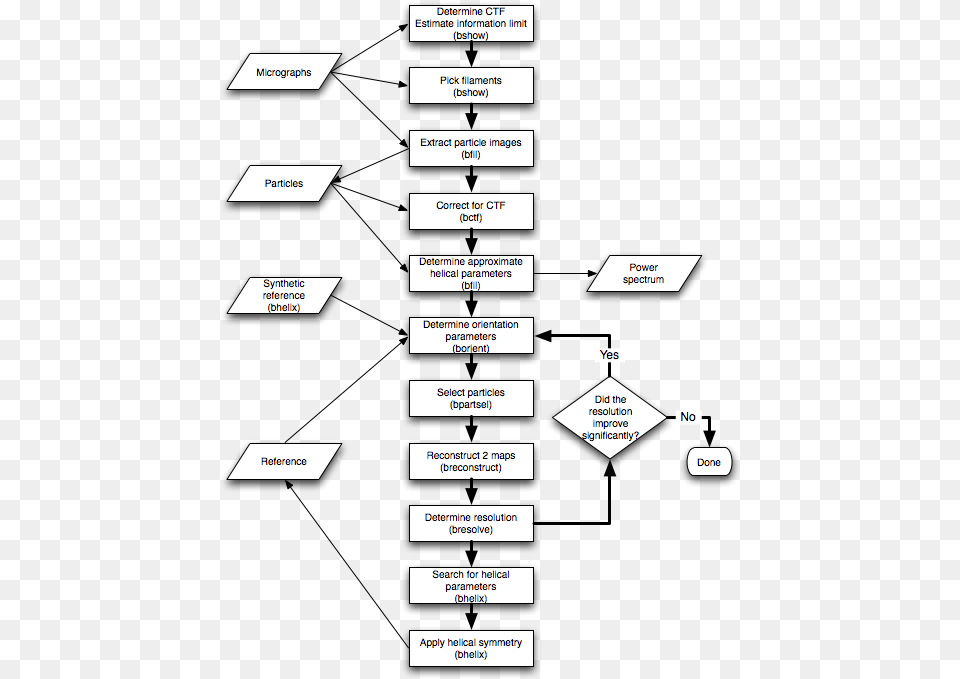 Helical Filaments Diagram Free Transparent Png