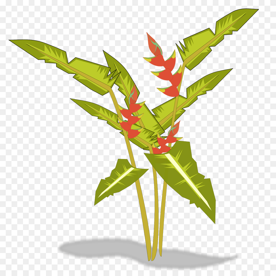 Heliconia Clipart, Flower, Flower Arrangement, Leaf, Plant Png