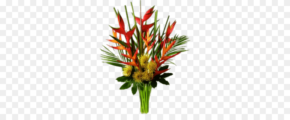Heliconia Composition, Flower, Flower Arrangement, Flower Bouquet, Plant Png