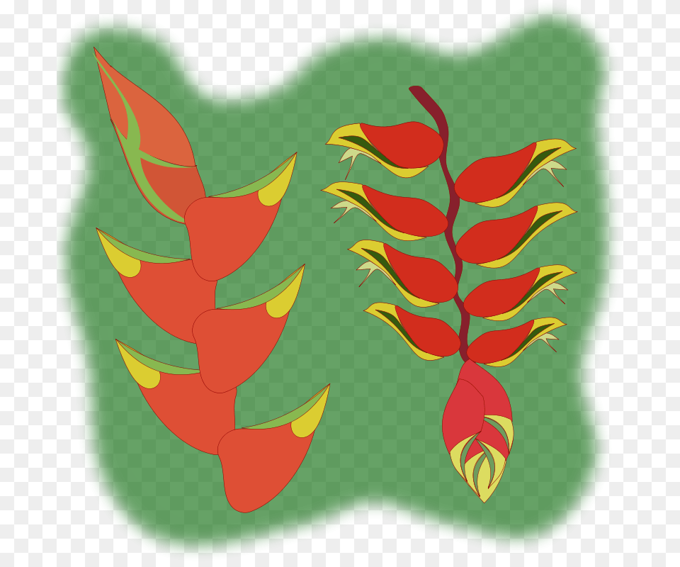 Heliconia Flower, Art, Graphics, Tree, Rainforest Free Png Download