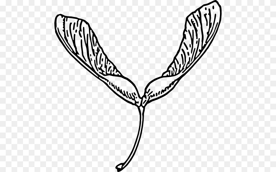 Helicopter Seeds Clip Art, Leaf, Plant, Smoke Pipe, Annonaceae Png