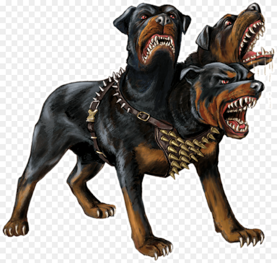Hellhound End Cerberus, Animal, Canine, Dog, Mammal Png Image