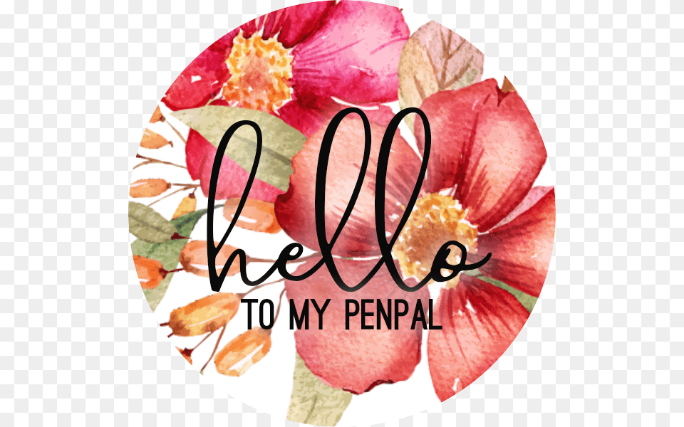 Hello Dear Friend Best Friend Pen Pal Stickers Raksha Bandhan, Anther, Flower, Petal, Plant Free Png