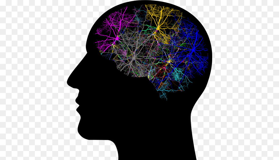 Hello My Name Is Laura And I39m A School Psychologist Cerebro, Accessories, Fractal, Ornament, Pattern Free Png Download