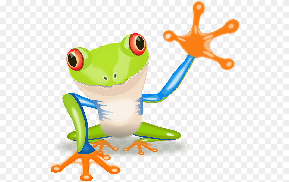 Hello Salem And Keizer, Amphibian, Animal, Frog, Wildlife Free Png Download