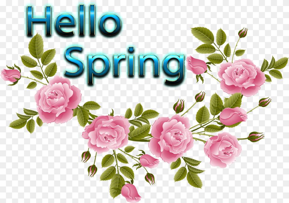 Hello Spring Clipart Hello Spring Clipart, Flower, Plant, Rose, Carnation Free Transparent Png