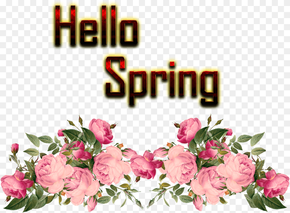 Hello Spring Background Pink Rose Border, Art, Plant, Graphics, Flower Free Png