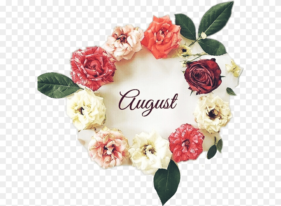 Helloaugust August Aout Agosto Flower Ftestickers Garden Roses, Plant, Rose, Dahlia, Petal Png Image