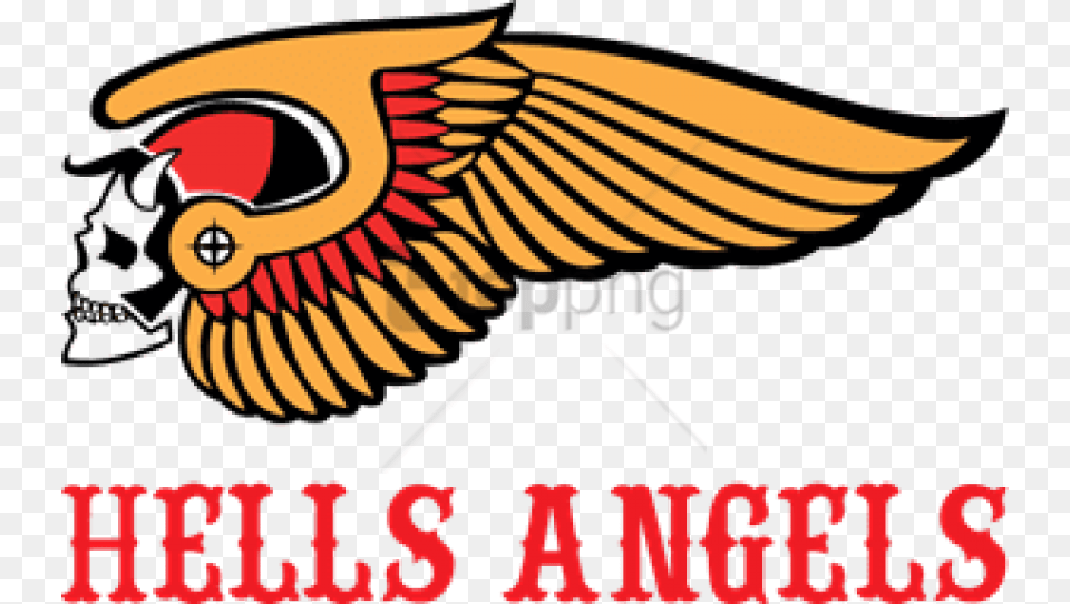 Hells Angels Image With Background Hells Angels Logo Eps, Animal, Beak, Bird, Fish Free Transparent Png