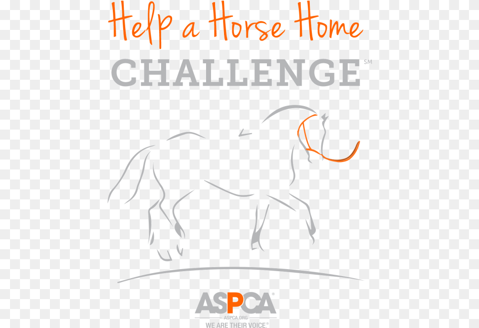 Help A Horse Home Orange And Gray Logo Stallion, Book, Publication, Advertisement, Poster Free Png Download