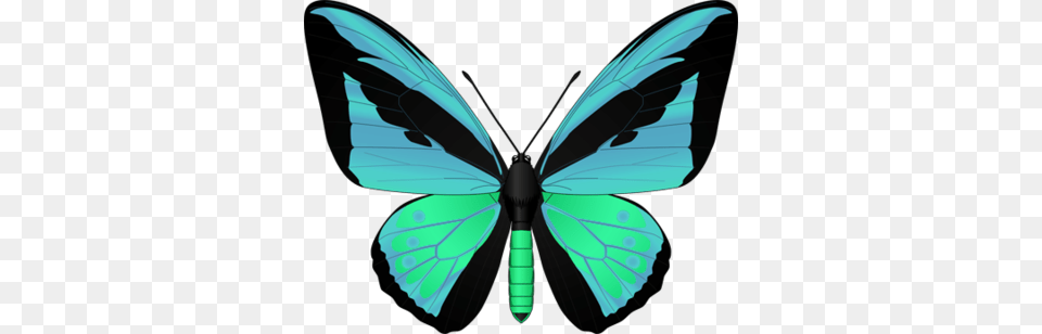 Help Bring Awareness To Alzheimers Disease Butterfly, Appliance, Ceiling Fan, Device, Electrical Device Free Transparent Png