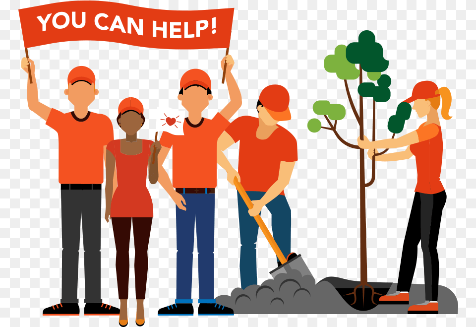 Help Fund A Community Project Planting Trees Clipart, Person, Cleaning, Male, People Free Png