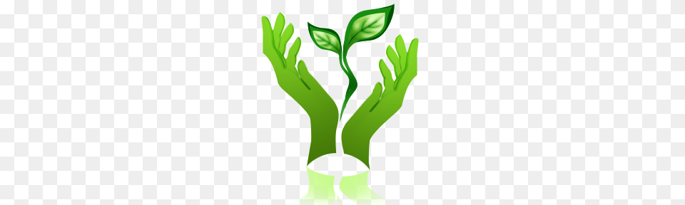Helping Hands, Green, Herbal, Herbs, Leaf Free Png Download