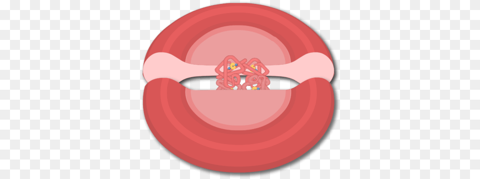 Hemoglobin, Accessories, Frisbee, Toy Free Transparent Png