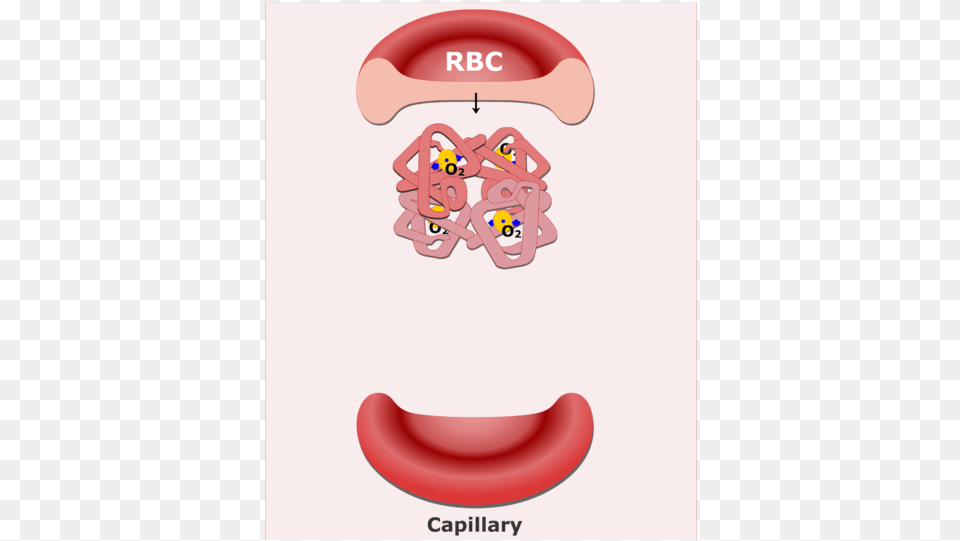 Hemoglobin Molecules In An Rbc Animation Slide Blood Function Cartoon, Body Part, Mouth, Person, Tongue Png Image