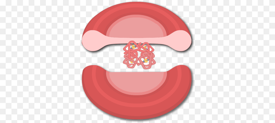 Hemoglobin Structure, Body Part, Mouth, Person Free Transparent Png