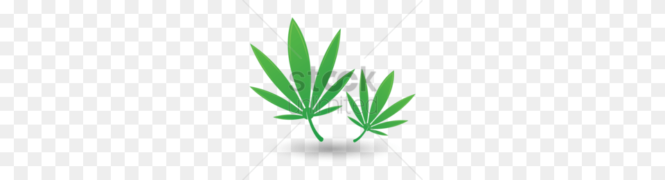 Hemp Family Clipart, Weed, Plant, Leaf, Herbs Png Image