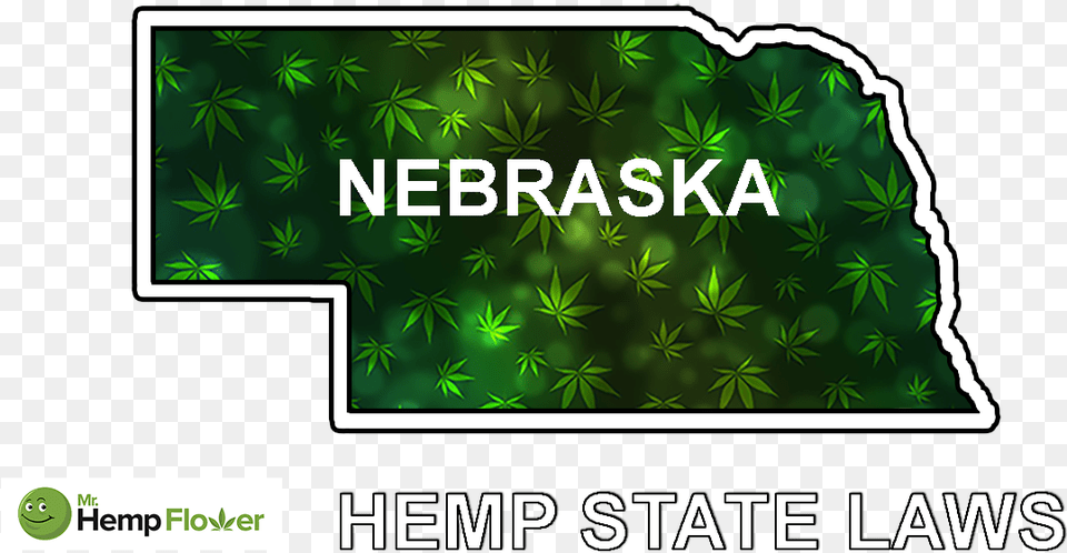 Hemp Flower Laws Nebraska Nebraska A Weekend On My, Green, Vegetation, Plant, Weed Png