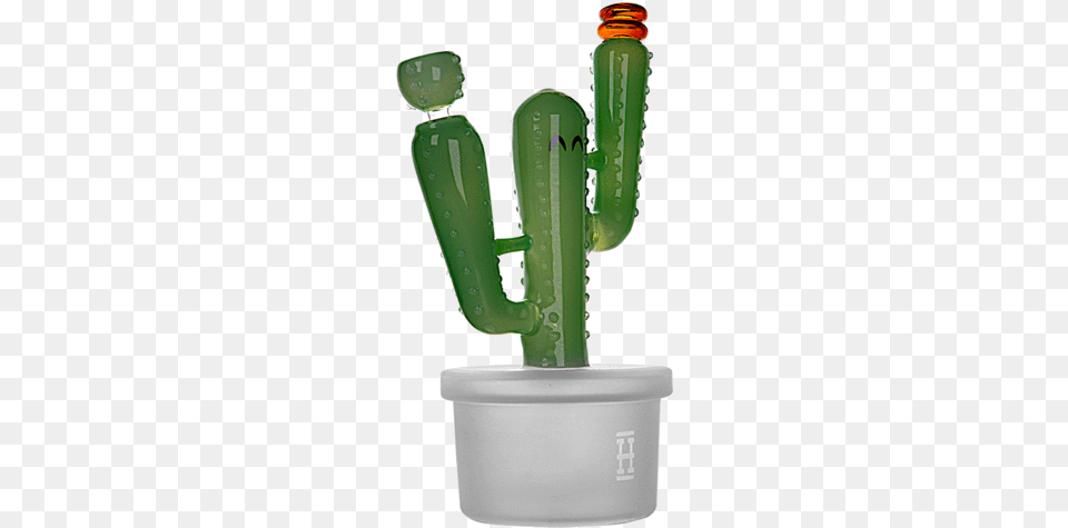 Hemper Cactus Jack Bong Xl San Pedro Cactus Free Png