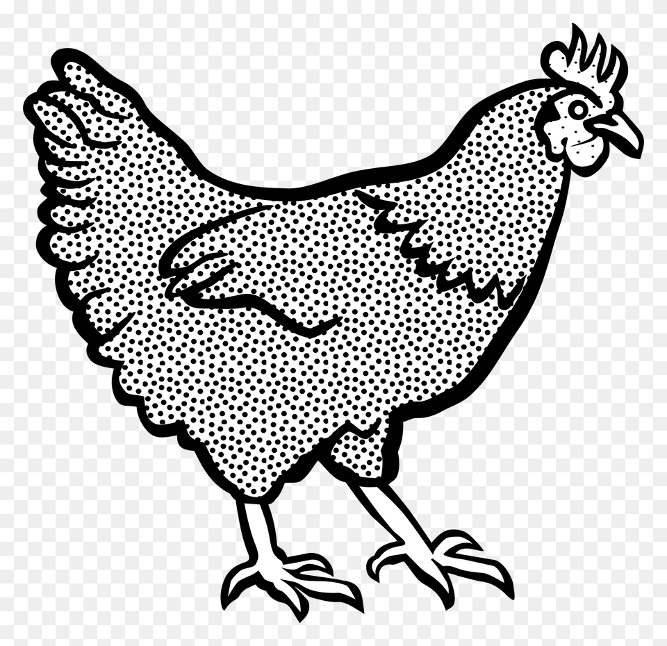 Hen, Baby, Person, Animal, Fowl Free Png