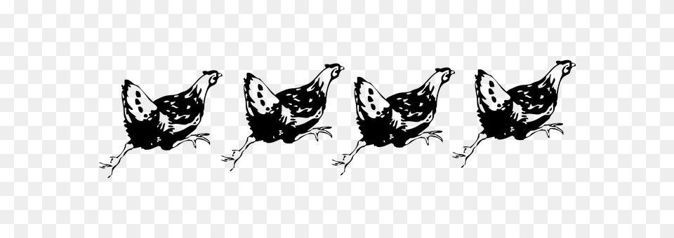 Hen Gray Free Transparent Png