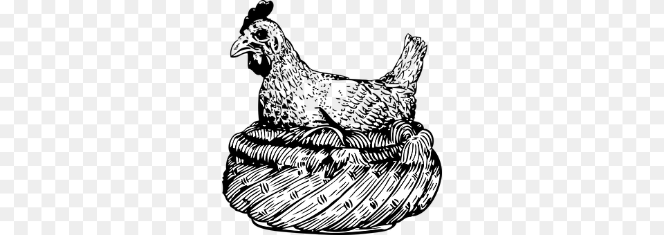 Hen Basket, Art Png Image