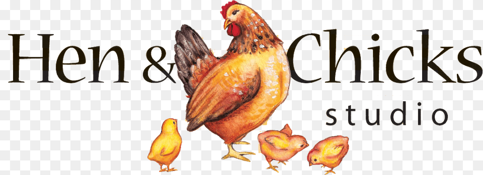 Hen And Chicks Studio, Animal, Bird, Chicken, Fowl Free Transparent Png