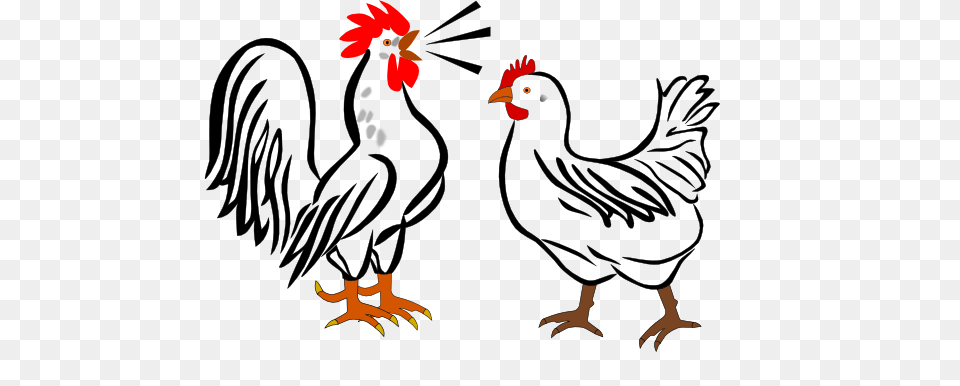Hen And Rooster Clip Art, Animal, Bird, Fowl, Poultry Png Image