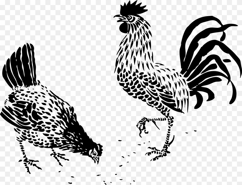 Hen And Rooster Clip Arts Black And White Chicken Vectors, Gray Free Png