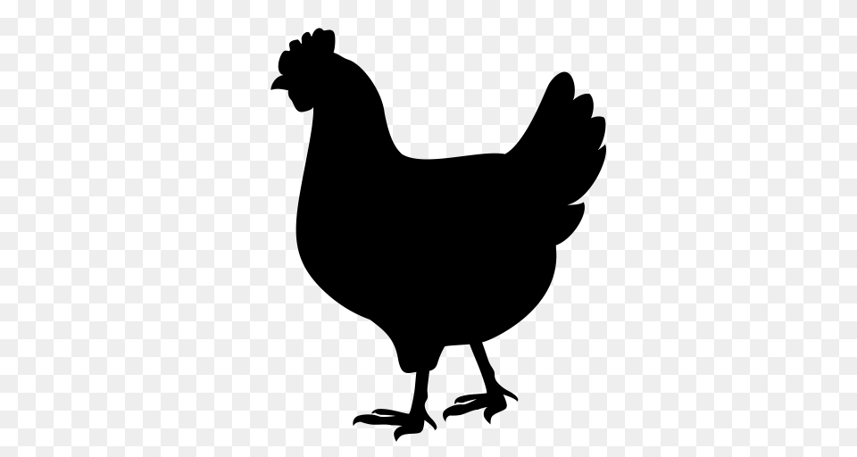 Hen Animals Bird Icon With And Vector Format For, Gray Free Transparent Png